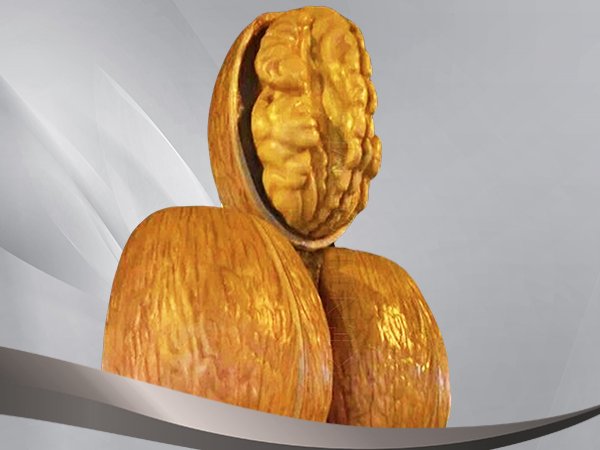 KAMAN CEVİZİ HEYKELİ